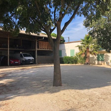 Mas De Plisset Lägenhet Saint-Gilles  Exteriör bild
