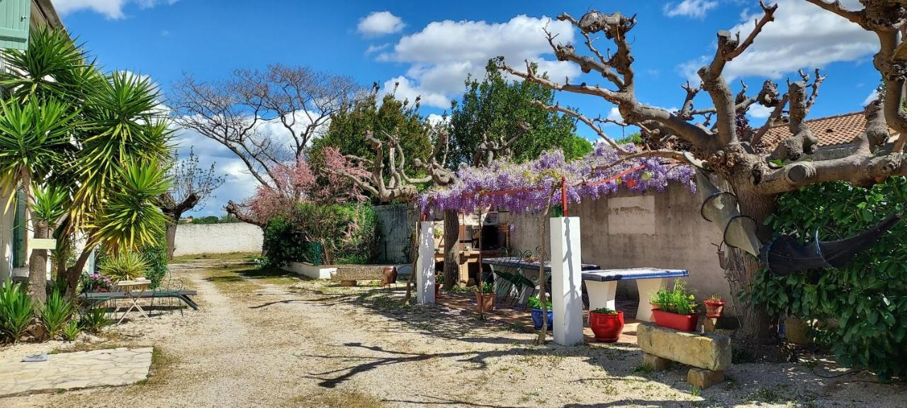 Mas De Plisset Lägenhet Saint-Gilles  Exteriör bild